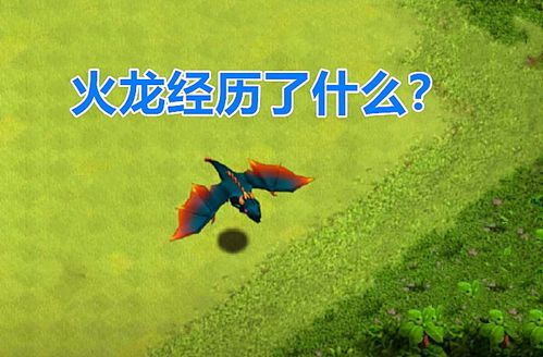 独家私宠，短剧全集在线免费观看--第1张