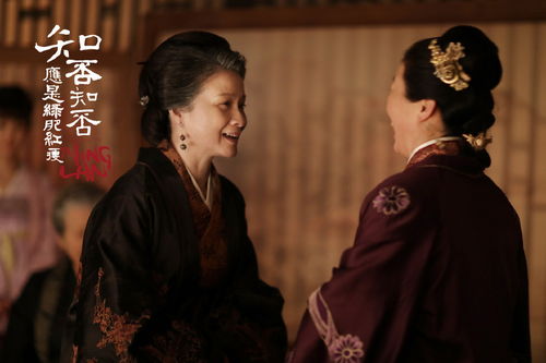 傅总夫人又想开溜，生死一瞬间！候程玥短剧在线免费观看全集--第1张