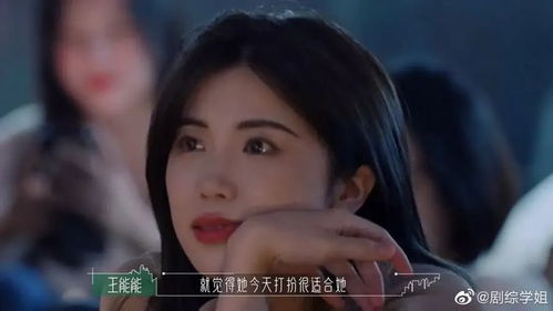 六个大佬的心尖宠离婚了，六个大佬的宠爱与决裂--第1张