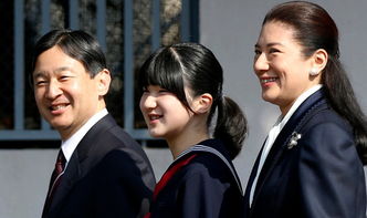 盖世王子 盖世皇太子，短剧在线免费观看全集资讯 --第1张