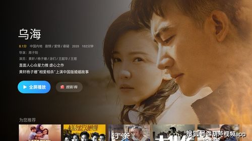 听风也听你短剧，一段温馨的都市情缘--第1张