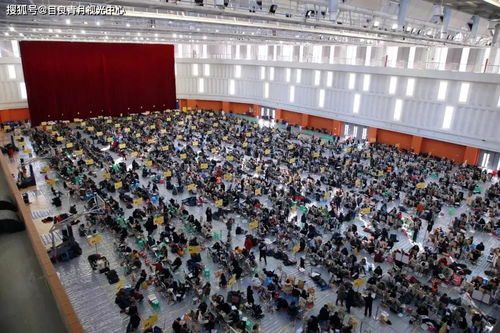 五宝联盟爹地他真不是纨绔短剧剧情资讯 五宝找爹地 --第1张