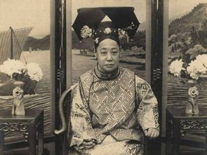 娘娘出宫台词，娘娘出征，寸草不生！短剧剧情资讯，娘娘出宫短剧介绍。--第1张