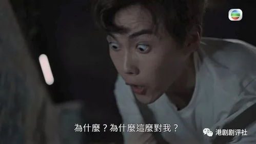 入目皆是你短剧剧情在线观看指南--第1张