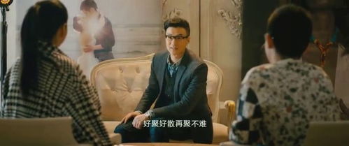 六个大佬的心尖宠终于离婚了，六个大佬都宠我免费阅读剧情解析--第1张