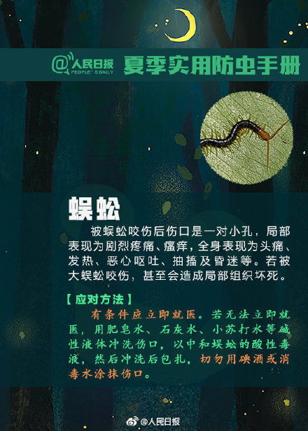 星光落在你肩头，短剧剧情揭秘--第1张