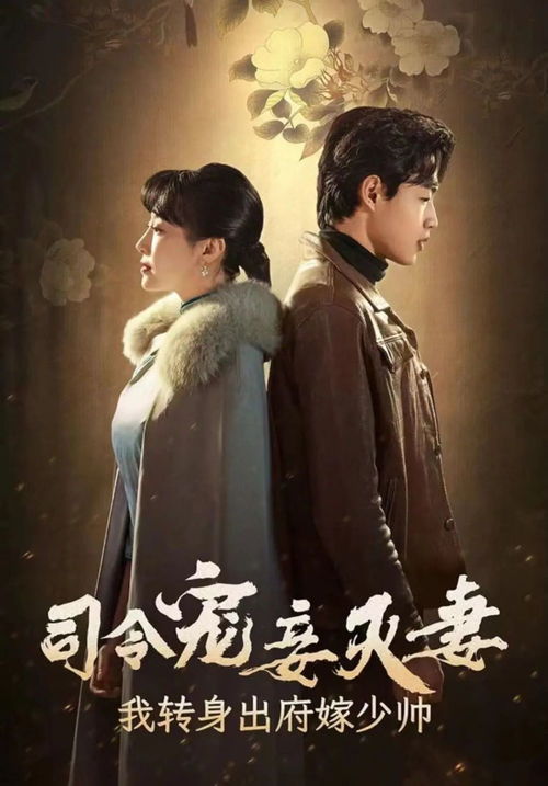司令宠妾灭妻，我转身出府嫁少帅，少帅，夫人又跑了！--第1张