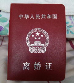 影后老婆求领证，离婚后我火遍全网短剧剧情资讯免费阅读--第1张