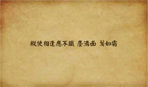 纵使相逢应不识 这句话什么意思 纵使相逢应不识 --第1张