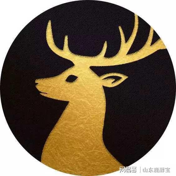 五宝奇兵总裁爹地追妻忙长篇侯呈玥短剧剧情资讯  --第1张