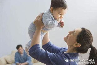 一胎二宝离婚前老婆重生了短剧剧情资讯 一胎二宝前夫 --第1张