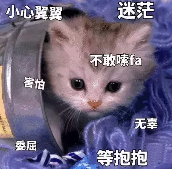 震惊！老公变戏精，家庭生活陷入混乱！--第1张