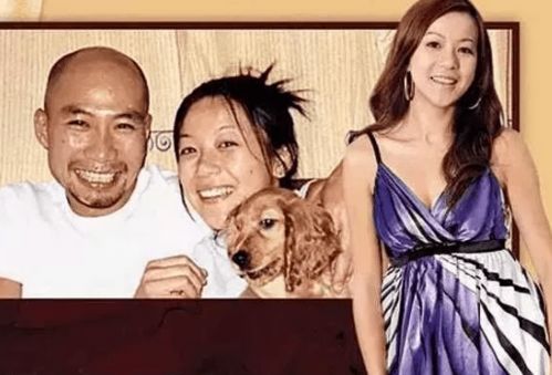 被退婚后我怀了豪门首富的崽--第1张