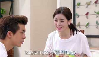 我以新婚辞旧情短剧剧情资讯 《我以新婚辞深情》 --第1张
