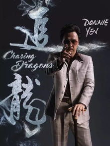 追龙番外篇之罪与罚短剧剧情揭秘--第1张