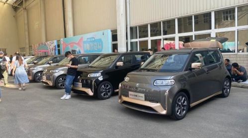  年下狼狗撩得姐姐面红心跳短剧剧情资讯 --第1张