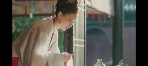 总裁追妻火葬场--第1张