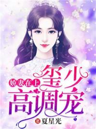 墨少宠妻超高调完结了吗？--第1张