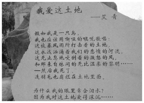 离婚之后，陆柠离婚后陆总跪求原谅剧情简介--第1张