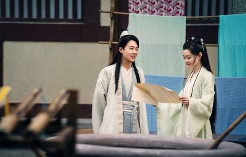赘婿陈琛大结局视频_赘婿陈宇--第1张
