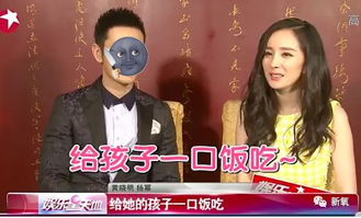 界王离婚后送飞机短剧，老婆惊喜反应--第1张