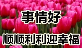 赠你一世玫瑰剧情资讯，玫瑰盛宴，情感交织的短剧之旅--第1张