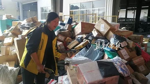 成为快递员后我有了七个老婆短剧剧情资讯 我当快递员那些年 --第1张