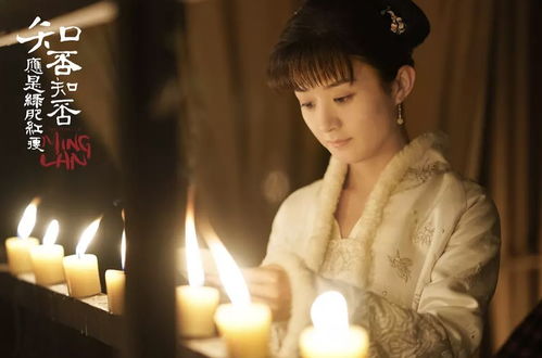 离婚后冷傲前妻悔不当初短剧剧情资讯 冷傲前妻不好追免费阅读 --第1张