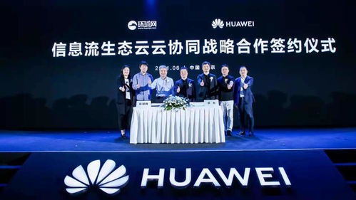 与君再相逢短剧剧情资讯 与君再相逢——短剧剧情资讯 --第1张