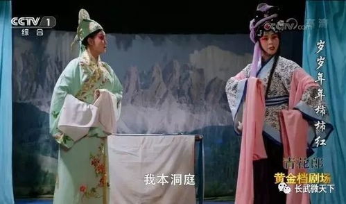 绝代枭婿短剧剧情资讯 绝代枭婿短剧剧情资讯视频 --第1张