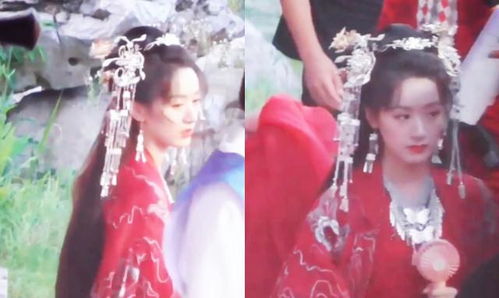 落花时节又逢君大婚，工厂大人与短剧明星的浪漫婚礼--第1张