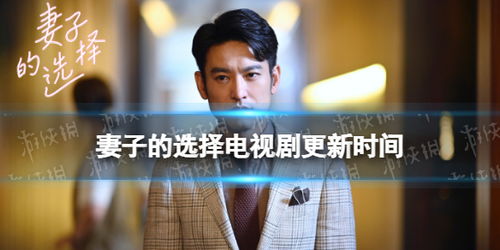 总裁夫人不好追，总裁夫人不好惹剧情揭秘--第1张