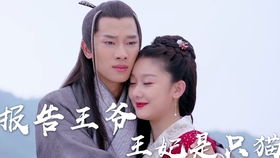 报告王爷，王妃要和离，王爷，请下线剧情资讯。--第1张