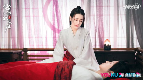 恰似故人归简介 恰似故人归短剧剧情资讯 --第1张