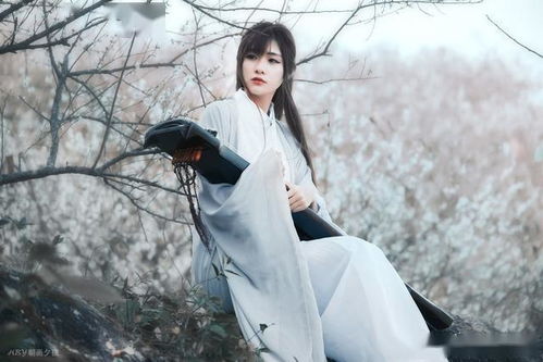 墨染白雪，白雪与梨花的短剧剧情资讯--第1张