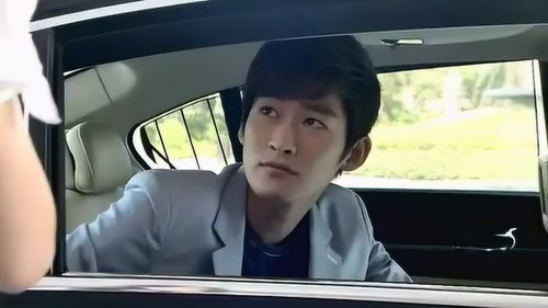 霸道总裁的奇特经历，捡来的霸道总裁跑了--第1张