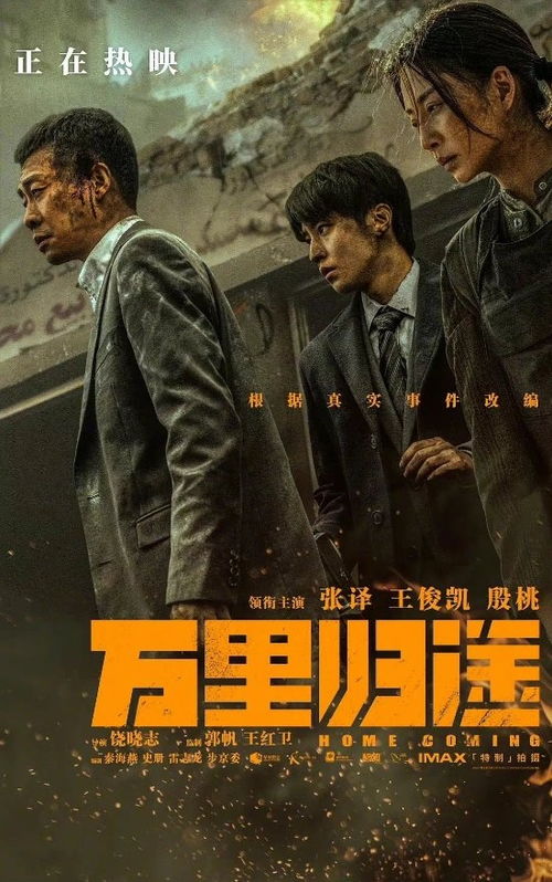万里归途短剧，一网打尽的剧情与资讯在线观看--第1张