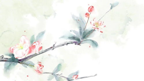 乱世芳华将军独宠妻 乱世芳华督军的复仇娇妻短剧剧情资讯 --第1张