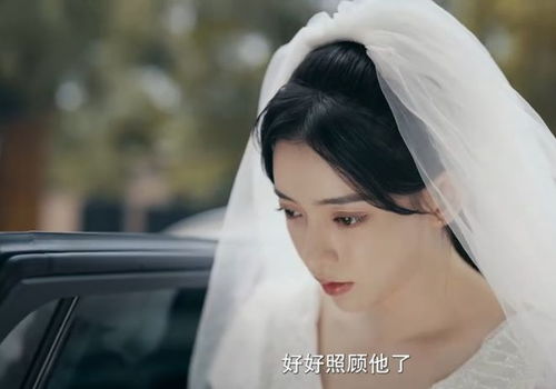 先婚后爱冷少追妻有点甜，先婚后爱寒少资讯--第1张