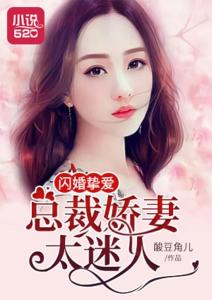 闪婚之总裁夫人离婚后爆红--第1张
