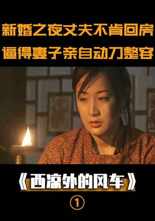 纪先生又不肯离婚了剧情介绍--第1张