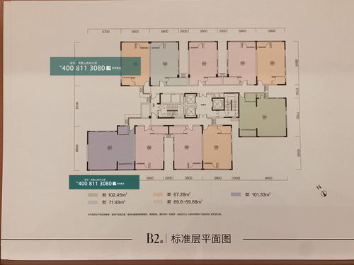 护国真龙短剧剧情资讯 护国真君 --第1张