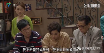离婚吧三个师姐等你追妻火葬场剧情介绍--第1张