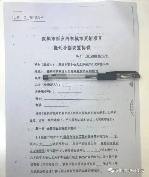 九州天龙之城，短剧剧情资讯--第1张