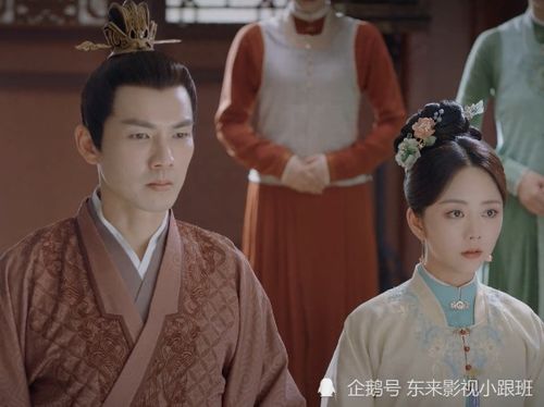 弃妃惊华，侯爷追妻忙短剧全集资讯--第1张