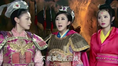 女将军嫁给傻子乞丐，短剧全集剧情介绍--第1张