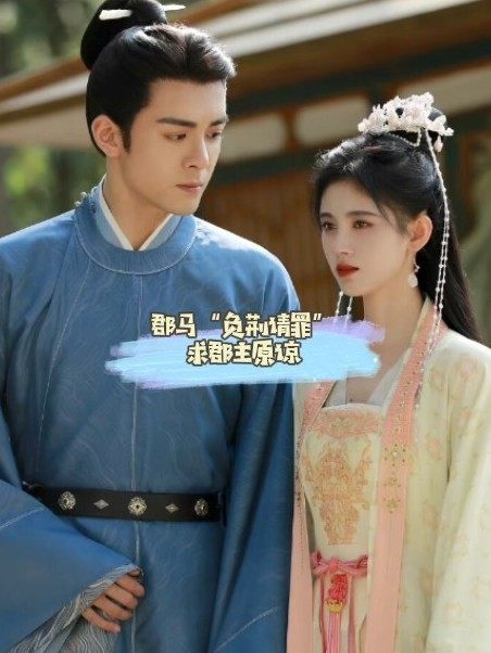 郡马和郡主的关系剧集资讯，郡马无敌短剧全集剧情介绍--第1张