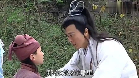 龙游花都短剧全集资讯剧情 龙游市花 --第1张