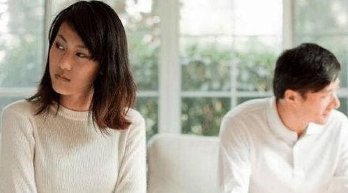 孤注一掷再见前妻，离婚后高冷女总裁痛哭流涕短剧全集资讯剧情简介--第1张