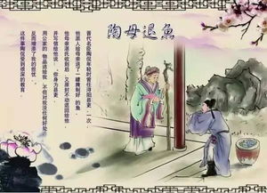 读书成圣，我是人间之屑--第1张